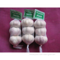 Chinese fresh garlic